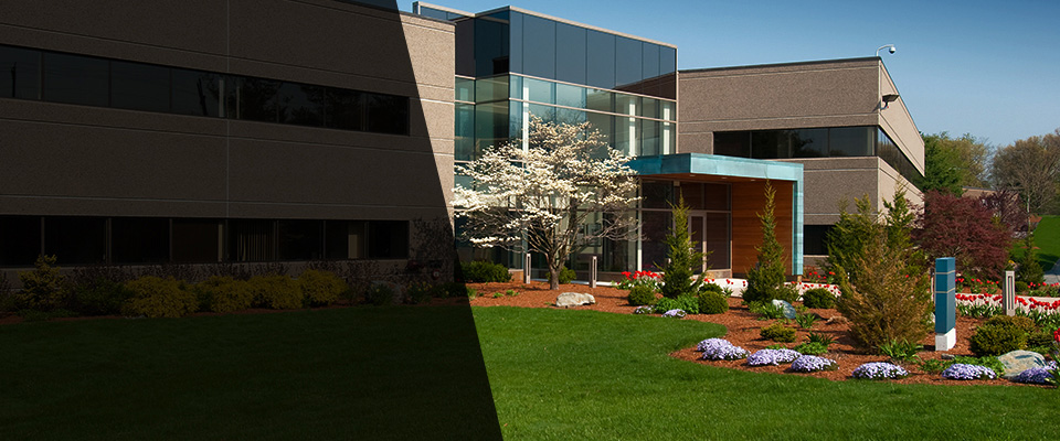 Washington Landscapers